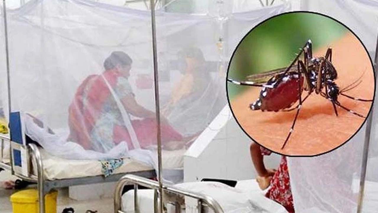 ডেঙ্গুতে একদিনে হাসপাতালে ভর্তি ৪১০